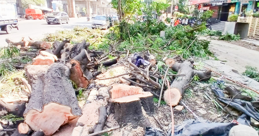 विकासाच्या नावाखाली शहर भकास करण्याचा सपाटा; वृक्षतोड, मोकळ्या जागांची कत्तल